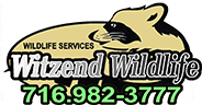 Witzend Wildlife Services